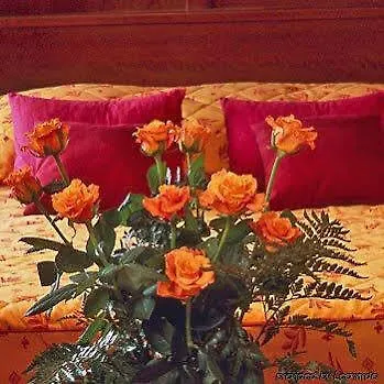 Ibis Styles Gare Hotel